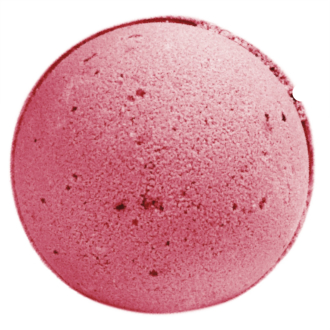 All berry jumbo bath bomb. If you like it fruity & fun then you have come to the right bath bomb. Heaps of fruit berry fragrance.