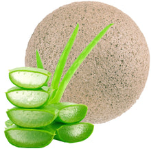 Load image into Gallery viewer, eco friendly and natural green aloe vera konjac facial and body sponge with aloe vera plant
